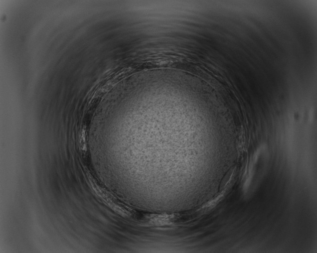 X0000051860182200507012350