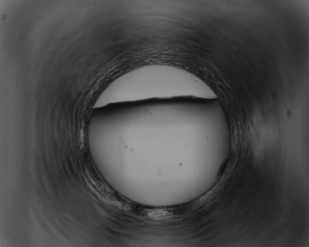 X0000051860183200507012350