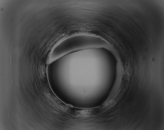 X0000051860184200507012350