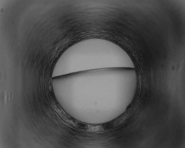 X0000051860185200507012350