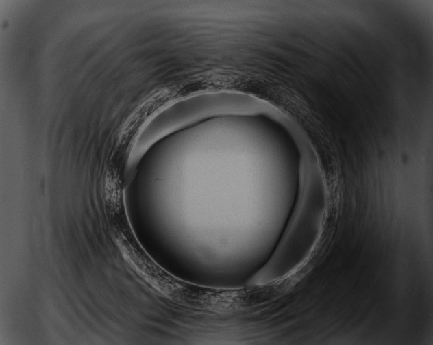 X0000051860186200507012350