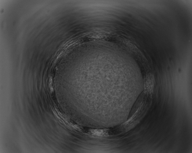 X0000051860187200507012350