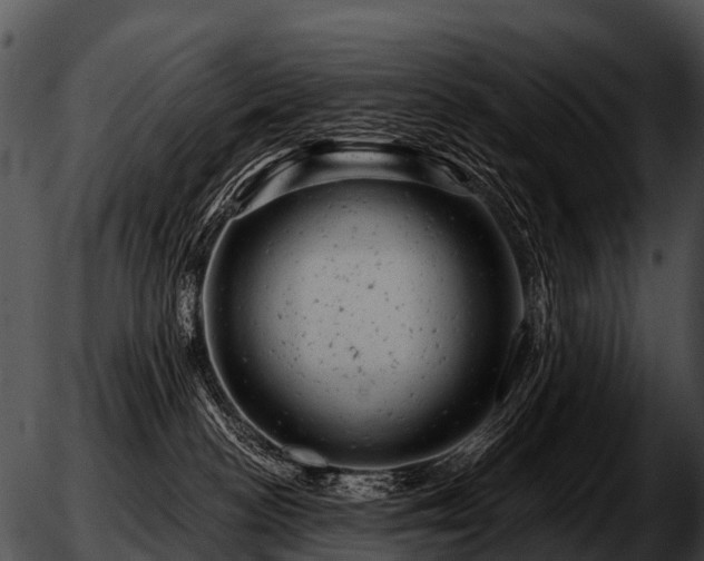 X0000051860188200507012350