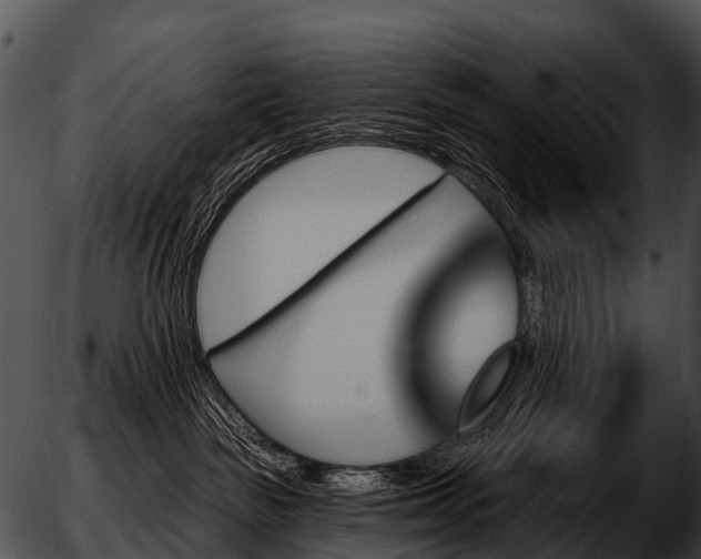 X0000051860189200507012350