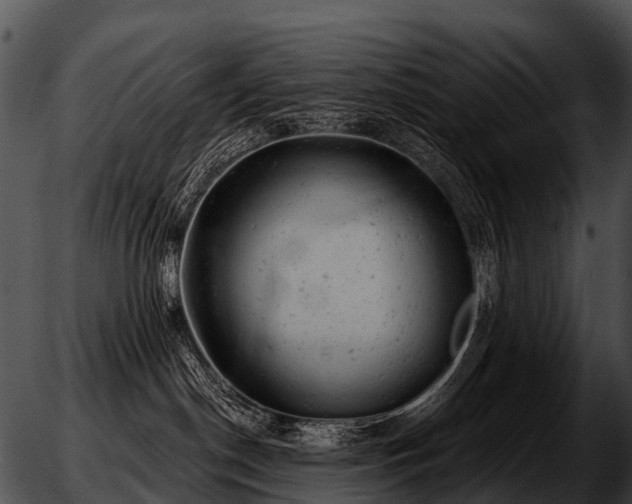 X0000051860190200507012350