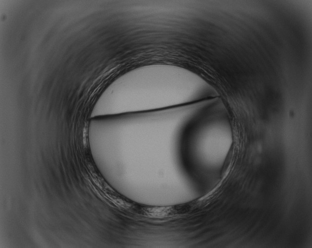 X0000051860191200507012350