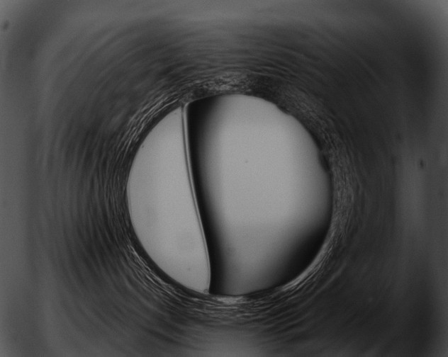 X0000051860192200507012350