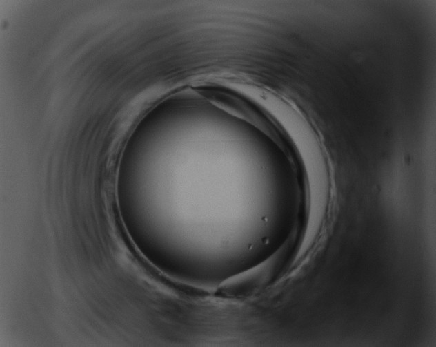 X0000051860193200507012349