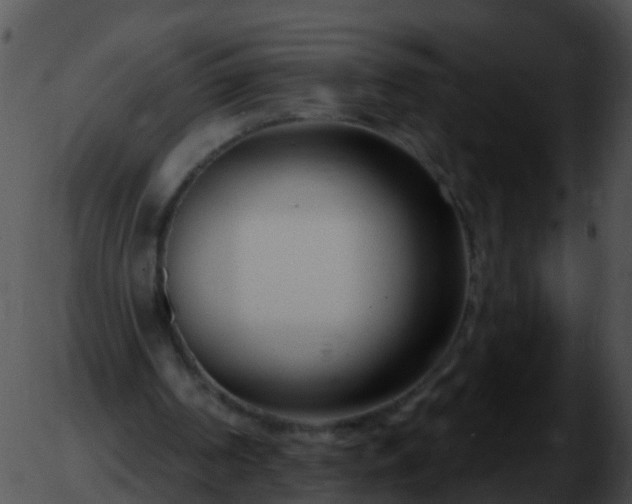 X0000051860194200507012349