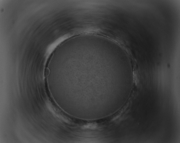 X0000051860196200507012349