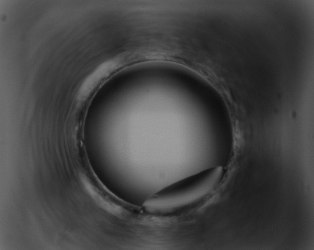 X0000051860197200507012349