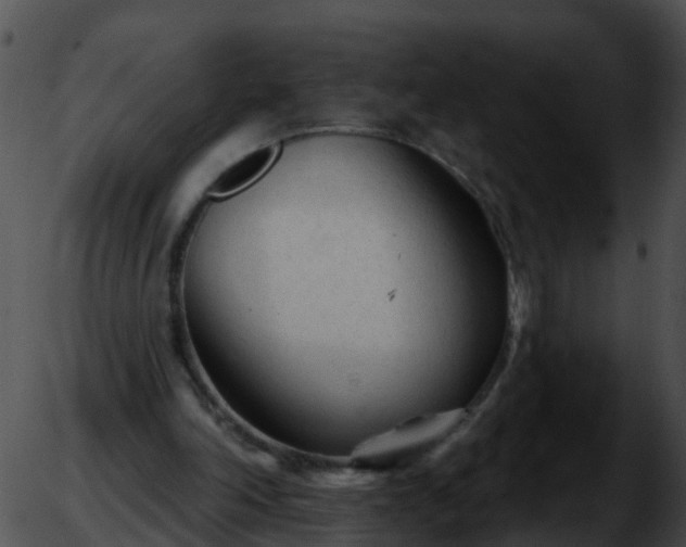 X0000051860198200507012349