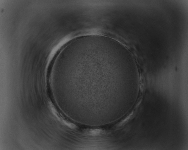 X0000051860200200507012349