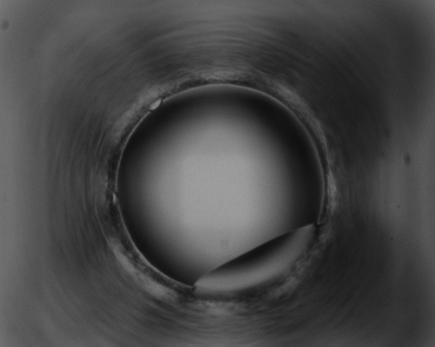 X0000051860201200507012349