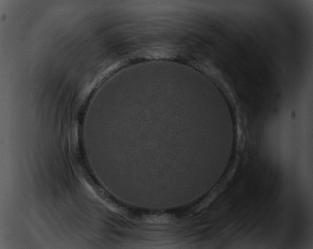 X0000051860202200507012349