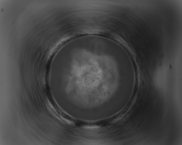 X0000051860203200507012349