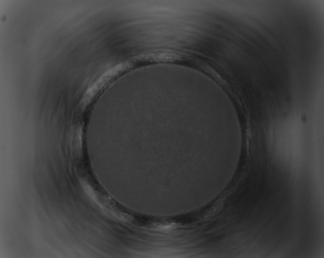 X0000051860206200507012349