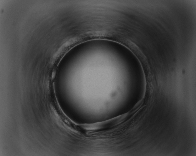 X0000051860207200507012349