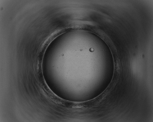 X0000051860208200507012349