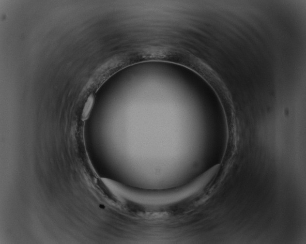 X0000051860209200507012349