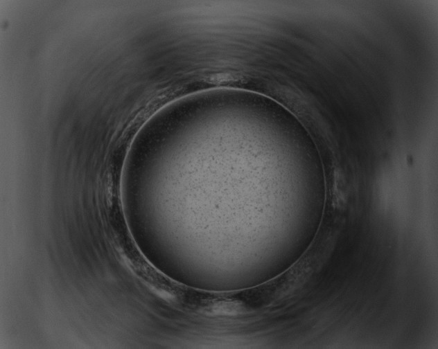 X0000051860210200507012349