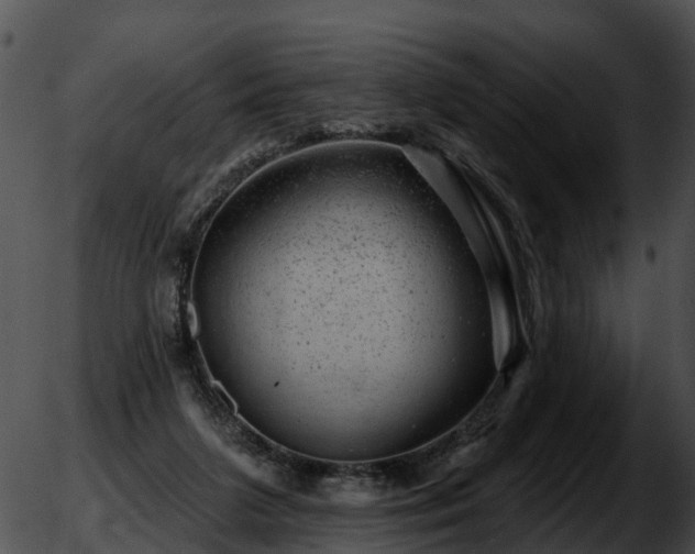 X0000051860211200507012349