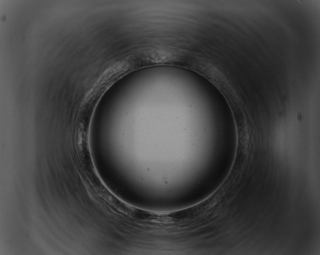 X0000051860214200507012349