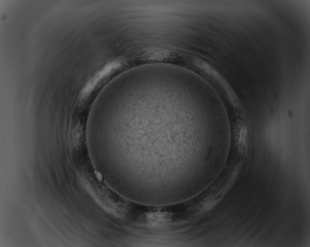 X0000051860216200507012349