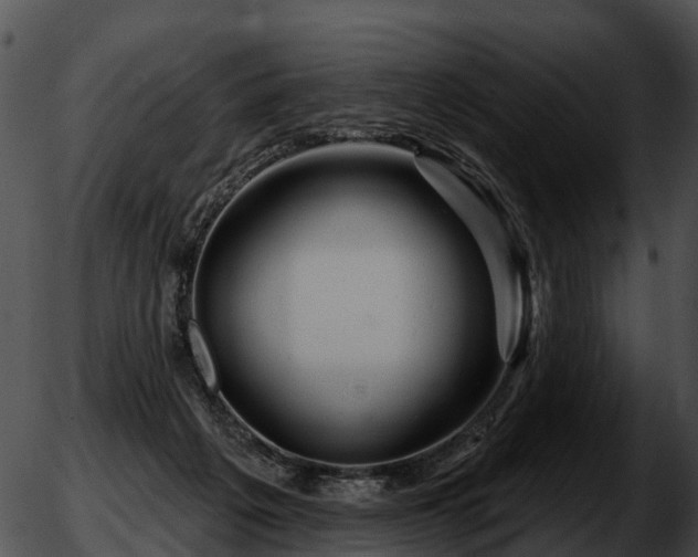 X0000051860217200507012349