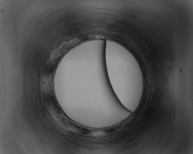 X0000051860218200507012348