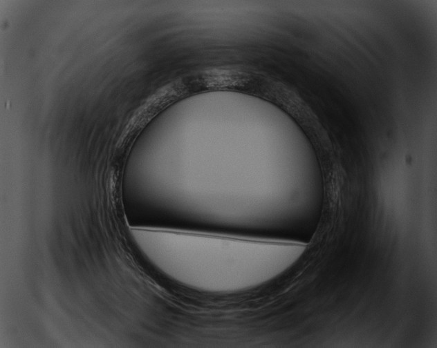 X0000051860219200507012348