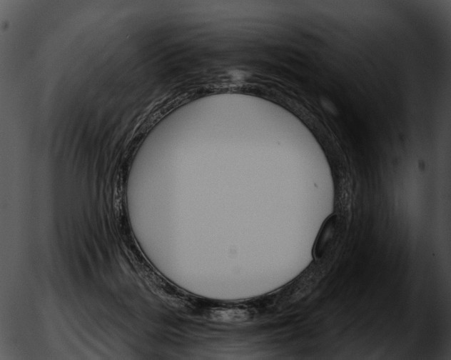 X0000051860220200507012348