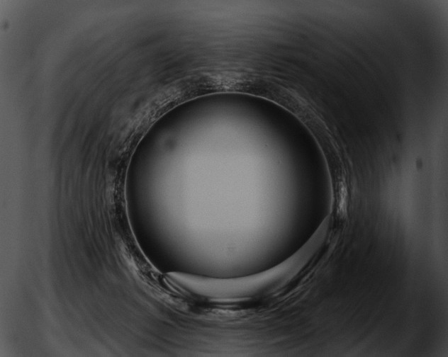 X0000051860221200507012348