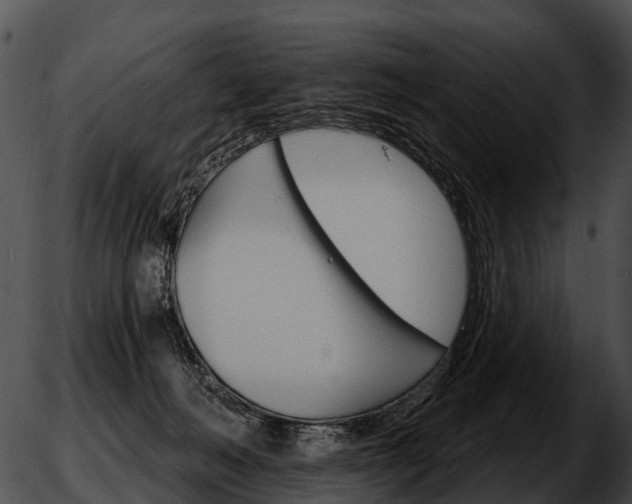 X0000051860222200507012348