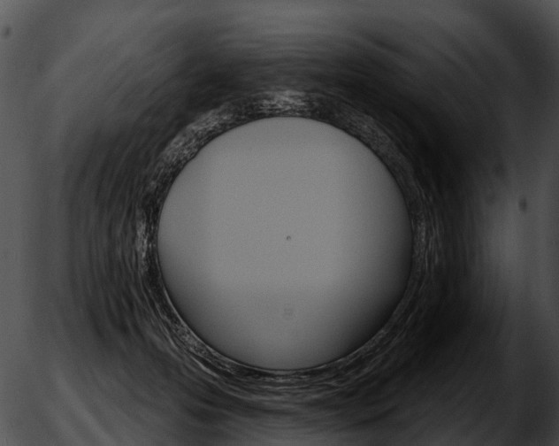 X0000051860223200507012348