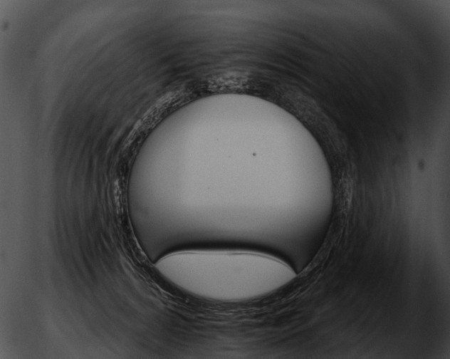 X0000051860224200507012348