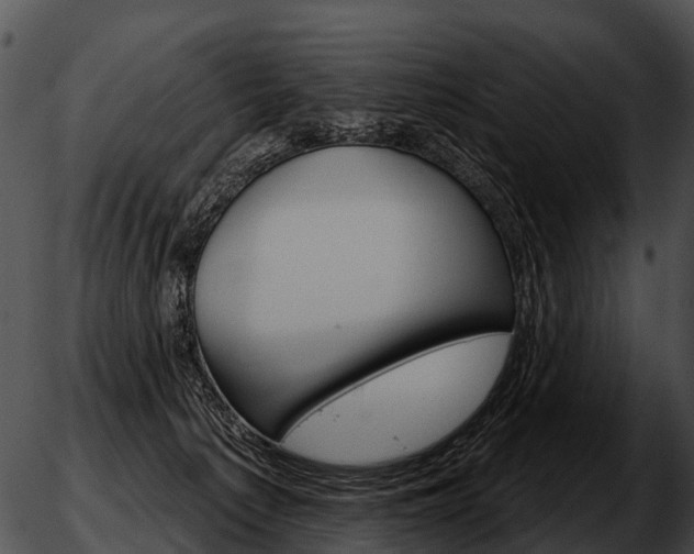 X0000051860225200507012348