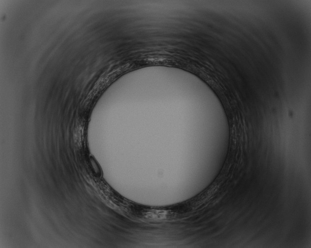 X0000051860227200507012348