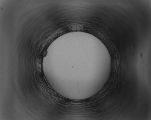 X0000051860228200507012348