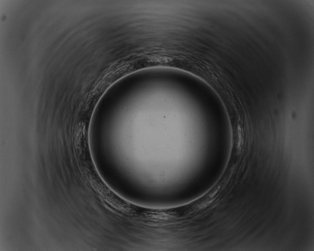 X0000051860229200507012348