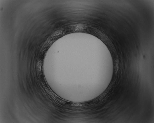 X0000051860230200507012348