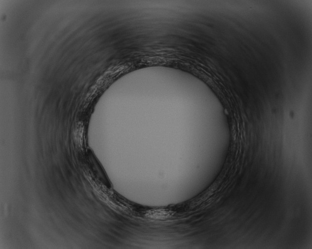 X0000051860231200507012348