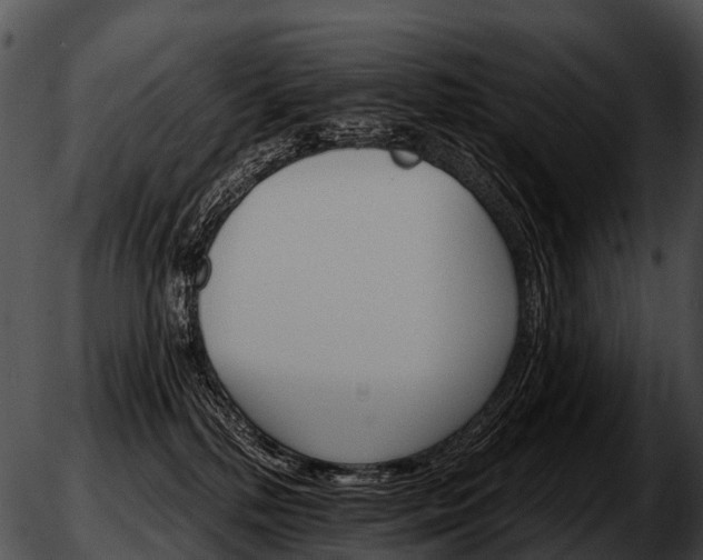 X0000051860232200507012348