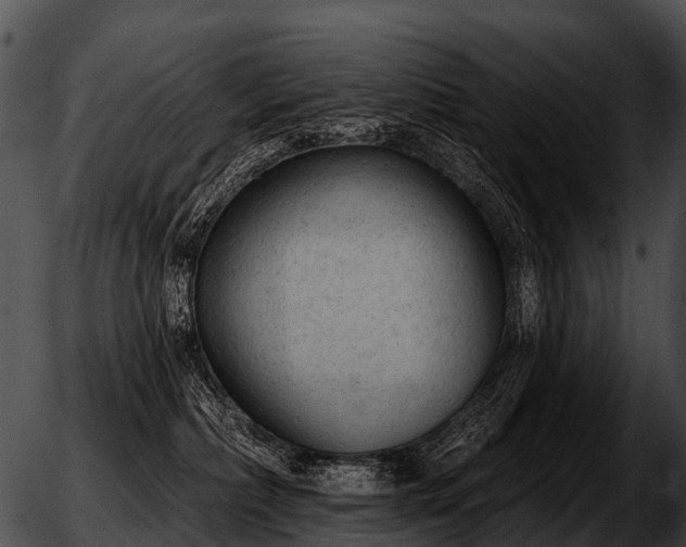 X0000051860236200507012348