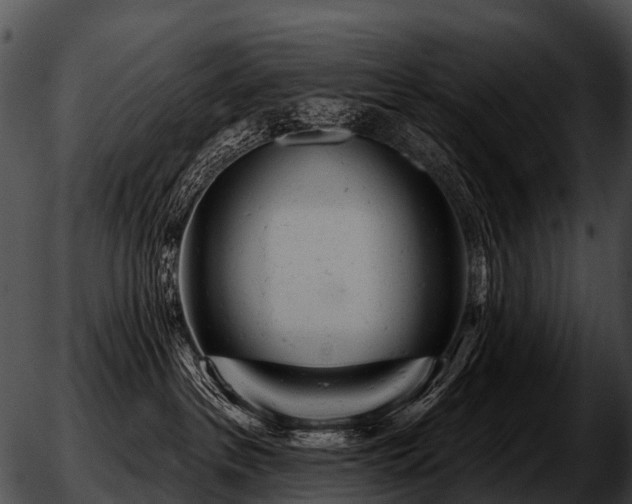 X0000051860237200507012348