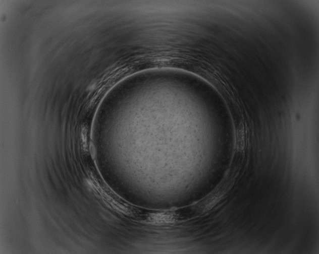 X0000051860238200507012348