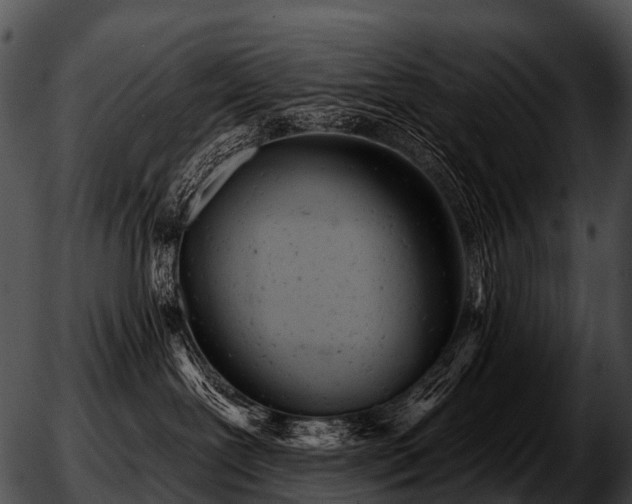 X0000051860239200507012348