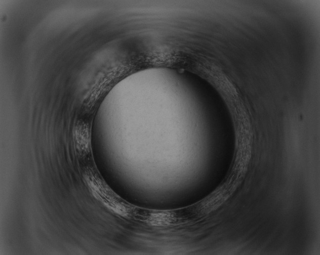 X0000051860240200507012348