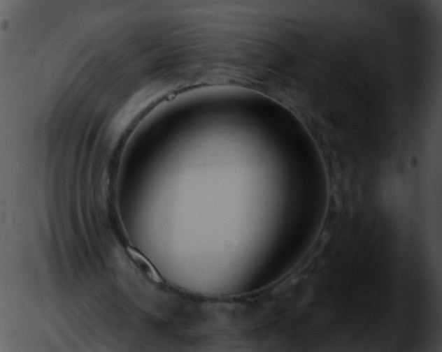 X0000051860242200507012347