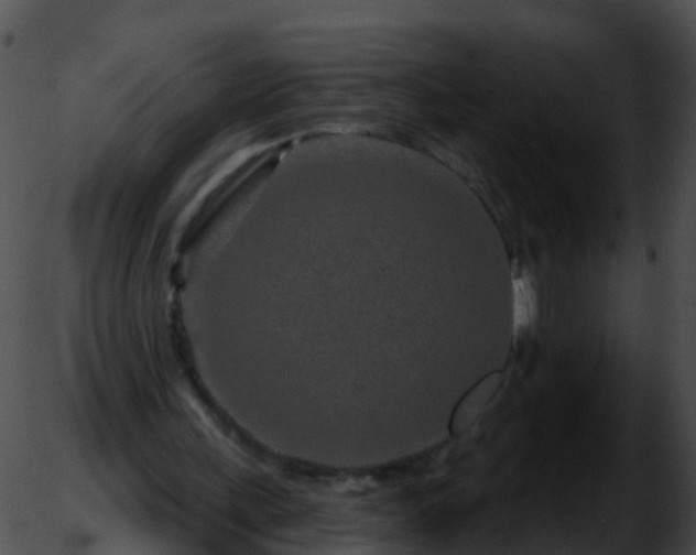 X0000051860243200507012347